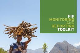 FIP Monitoring and Reporting Toolkit