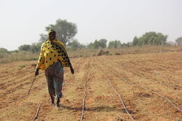 Seeding a Climate-resilient Future: Creating Markets for Irrigation Technologies in Niger