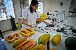 The Women Innovators Driving Climate Tech in Asia