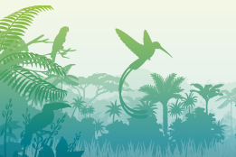 Banner for LAC Knowledge exchange event by CIF