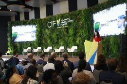 CIF at 15: Celebrating shared successes and new ambitions