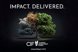 Annual Report 2022: Impact. Delivered.
