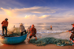Photo of four fishermen pulling in a large fishing net