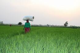 CIF Climate Finance: Multiplying development impacts 