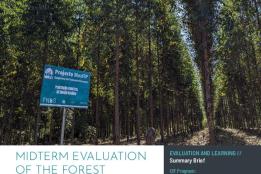 Picture of Midterm Evaluation of the Forest Investment Program