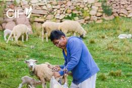 Picture of STRENGTHENING WATER SECURITY IN HIGHLAND BOLIVIA: