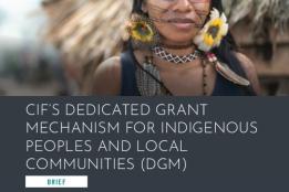 Picture of CIF’S Dedicated Grant Mechanism for Indigenous Peoples and Local Communities (DGM)