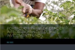 Portfolio Review of Gender Integration in the Climate Investment Funds