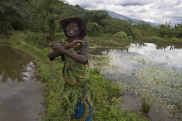 Clashing over conservation: saving Congo’s forest and its Pygmies