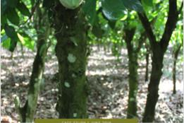 Finding Common Cause in Climate Smart Cocoa through the ‘Enhancing Natural Forest and Agro-Forest Landscape Project (ENFALP)’ In Ghana