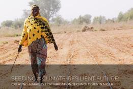 Seeding a climate resilient future: creating markets for irrigation technologies in Niger