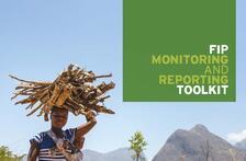 Picture of FIP Monitoring and Reporting Toolkit