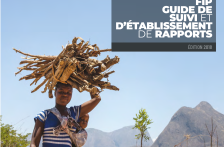 Picture of FIP GUIDE DE SUIVI ET D’ÉTABLISSEMENT DE RAPPORTS
