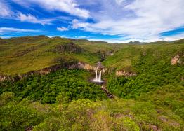 Picture of Cerrado in Brazil