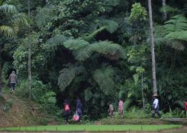 People in forests