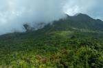 CIF_Dominica