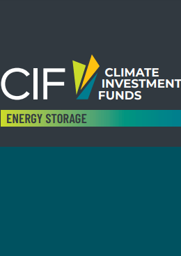 Global Energy Storage Program Investor Factsheet