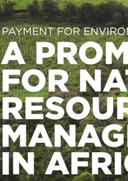 Payment for Environmental Services: A promising tool for natural resources management in Africa