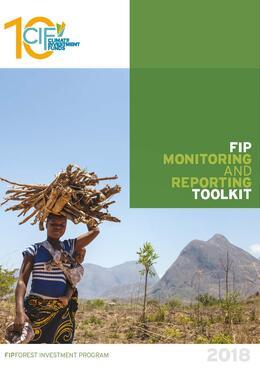 FIP Monitoring and Reporting Toolkit