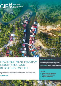 Picture of NPC Investment Program Monitoring And Reporting Toolkit