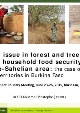 Gender issue in forest and tree products use for household food security in Sudano-Sahelian area: the case of two villages territories in Burkina Faso