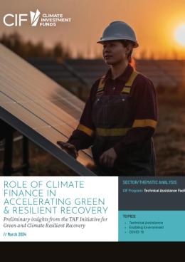 Picture of Role of Climate Finance in Accelerating Green & Resilient Recovery