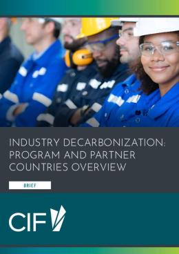 Picture of Industry Decarbonization: Program and Partner Countries Overview