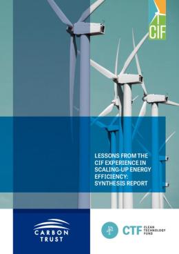 Lessons from the Experience in Scaling-Up Energy Efficiency: Synthesis Report