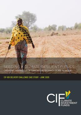 Seeding a climate resilient future: creating markets for irrigation technologies in Niger