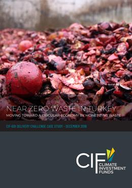 Near Zero Waste in Turkey: Moving Toward a Circular Economy by Monetizing Waste