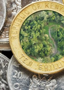 Picture of TRANSFORMATIONAL CLIMATE FINANCE: KENYA’S COUNTY CLIMATE CHANGE FUNDS