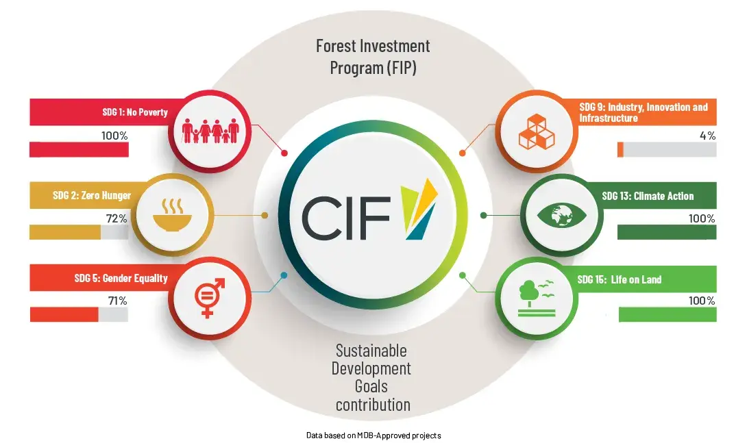 CIF FIP SGD results
